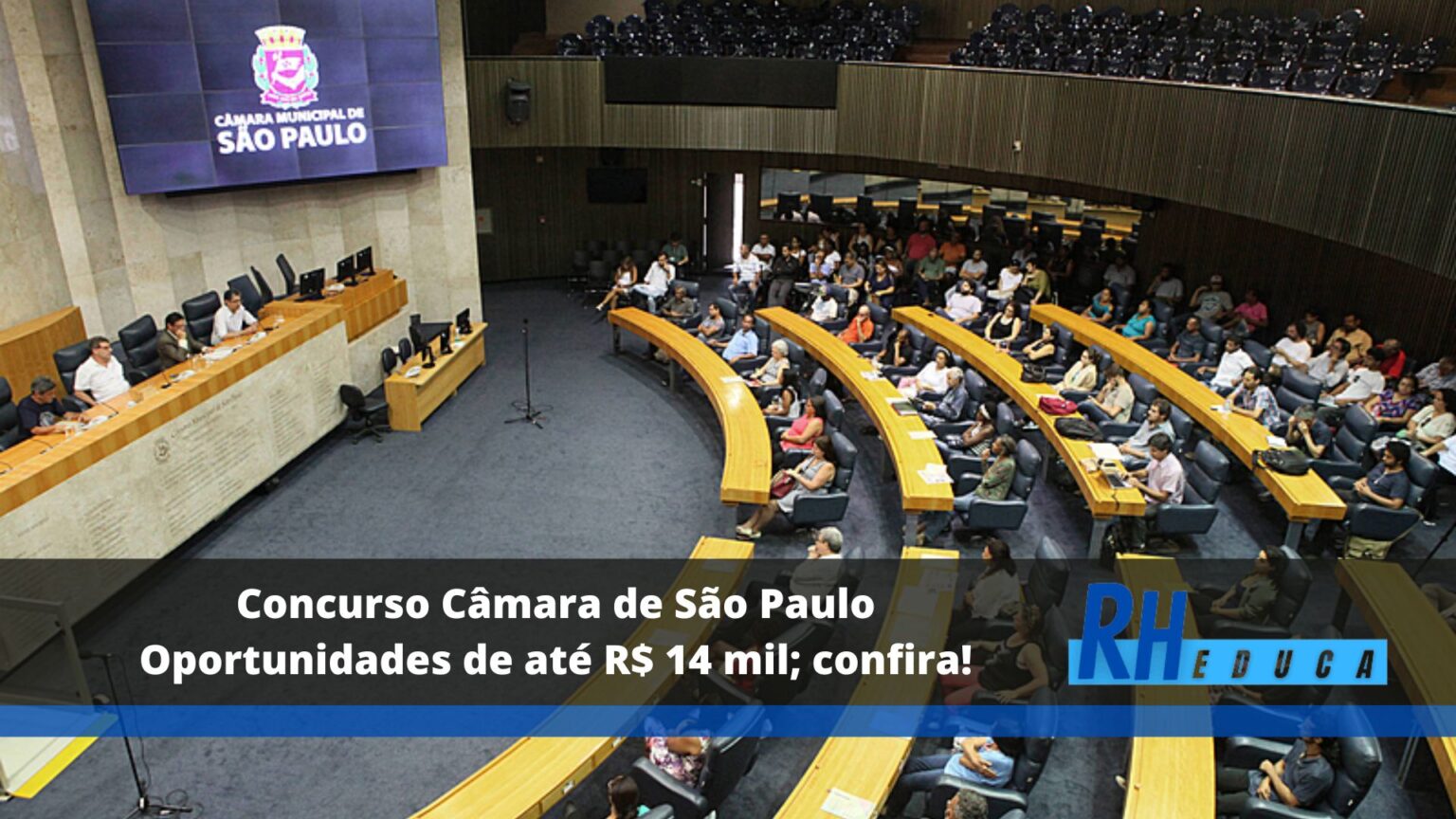 Concurso Câmara De São Paulo Oportunidades De Até R 14 Mil Confira 8913